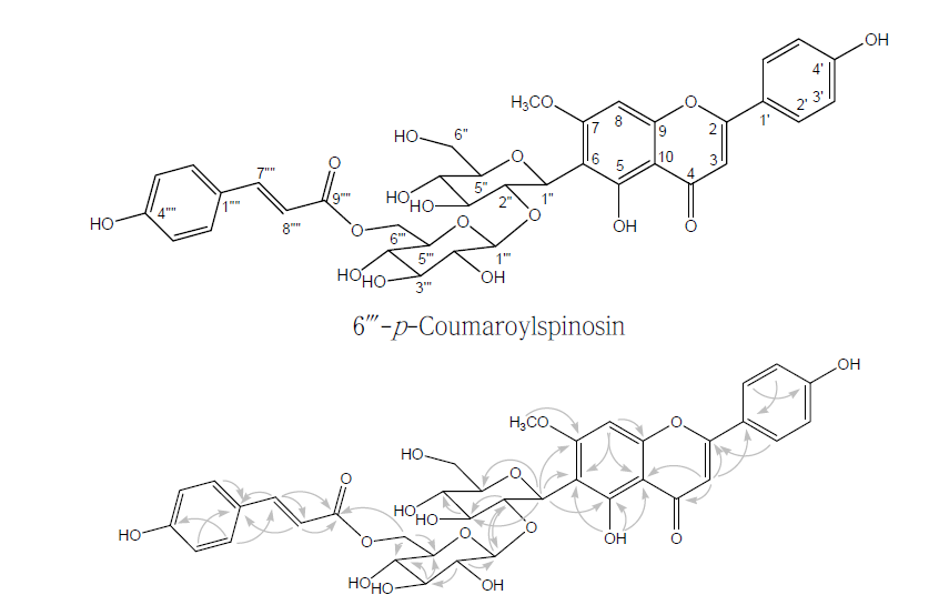 Important HMBC correlations for 6‴-p-coumaroylspinosin