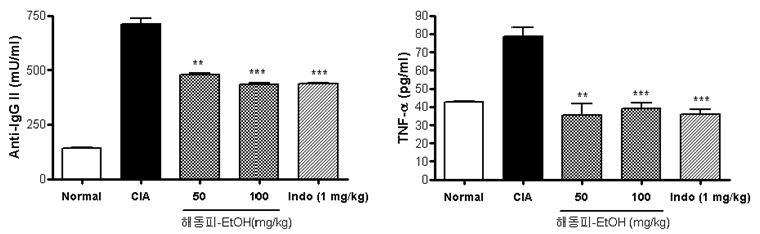 Effect of Kalopanacis Cortex ethanol extract on the production of anti-CII mAb and TNF-α in sera of CIA-induced mouse. Values are means ± SD (n=10).