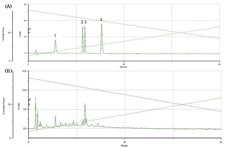 HPLC chromatogram of standard mixture (A) and 70 % MeOH extract (B)