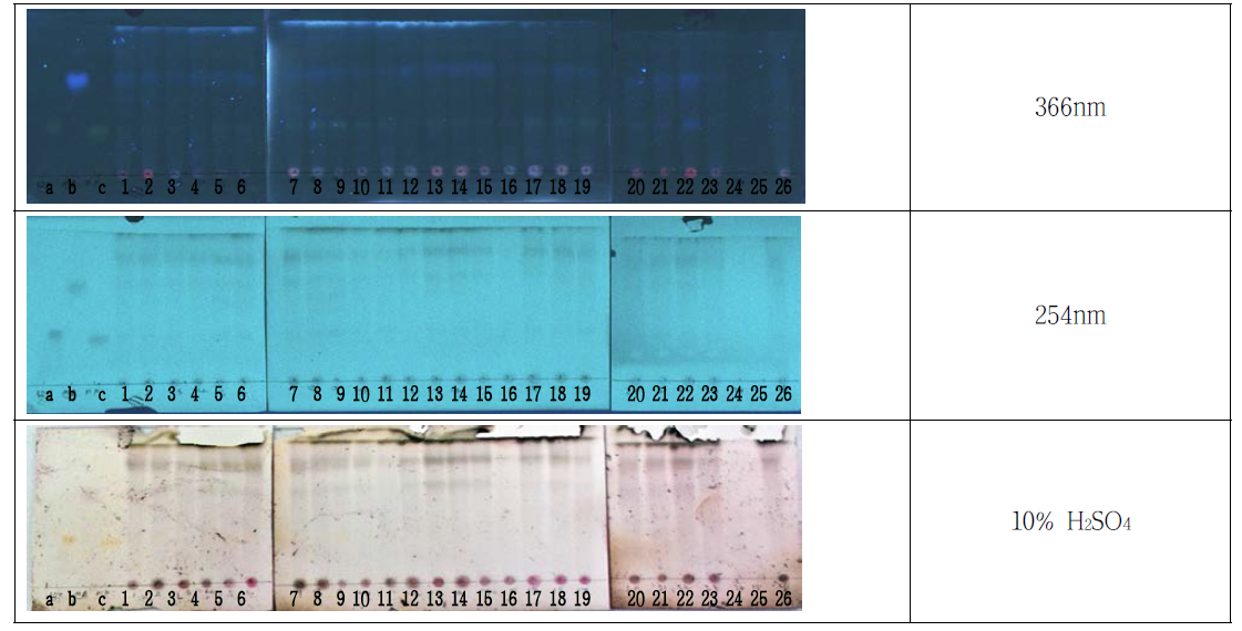 Thin layer chromatography of 26 Crataegi Fructus samples (reverse phase)