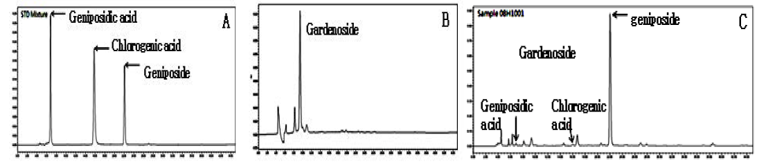 Revised HPLC chromatograms of standard mixture (A), gardenoside(B) and Gardeniae Fructus sample 08H1001(C)