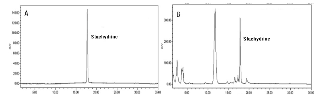 HPLC-ELSD chromatogram of standard mixture (A), and Leonuri Herba sample 09E1006 (B)