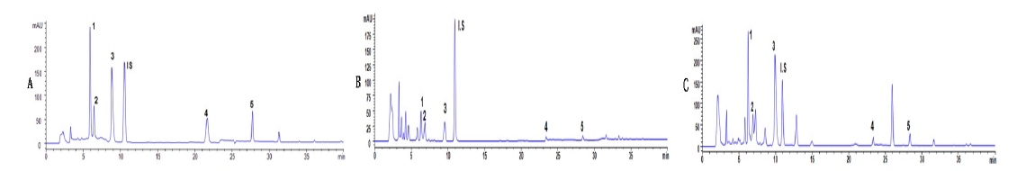 HPLC chromatograms of standard mixture (A), Corydalis ternata sample (B), and Corydalis yanhusuo sample (C)