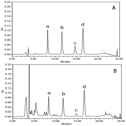 Revised HPLC chromatograms of standard mixture (A), and Corydalis ternata sample (B)