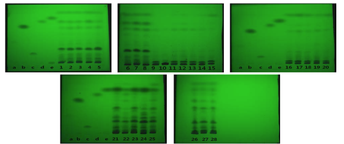 Thin layer chromatography of 28 Atractylodis Rhizoma Alba and Atractylodis Rhizoma samples