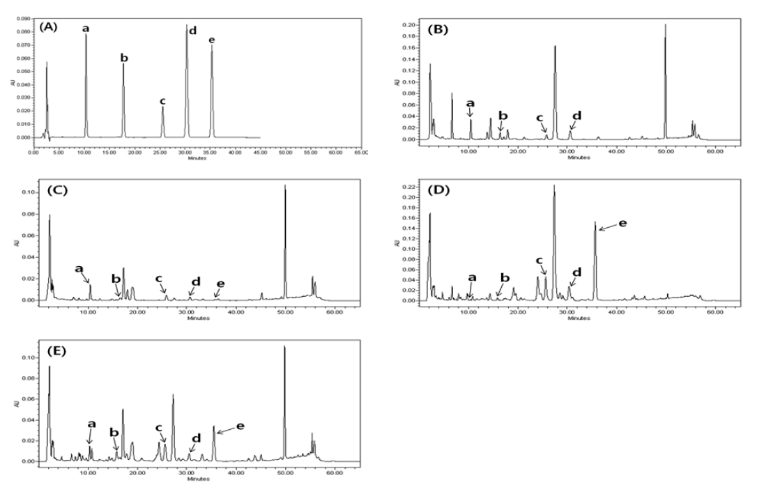 HPLC/DAD chromatogram of (A) standard compounds, (B) Atractylodes japonica Koidz., (C) Atractylodes macrocephala Koidz., (D) Atractylodes chinensis Koidz. and (E) Atractylodes lancea DC. extracts