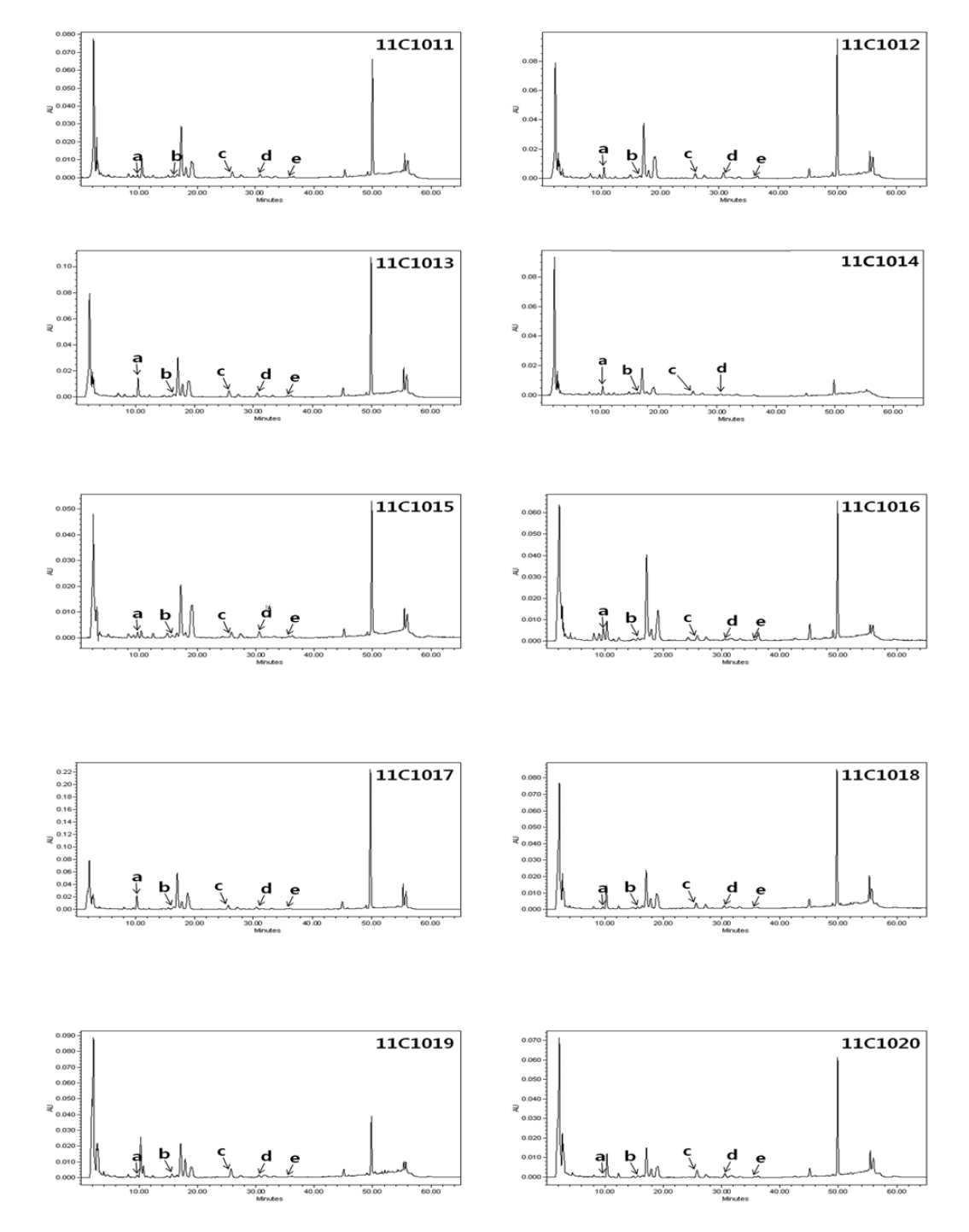 HPLC/DAD chromatograms of Atractylodes macrocephala Koidzumi