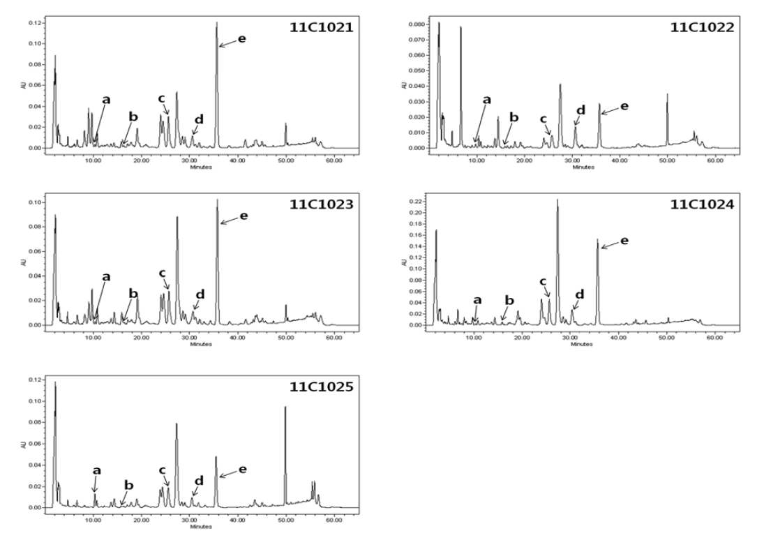 HPLC/DAD chromatograms of Atractylodes chinensis Koidzumi