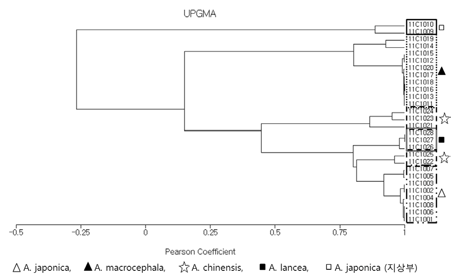 Cluster analysis graph of 28 Atractylodis Rhizoma Alba and Atractylodis Rhizoma samples