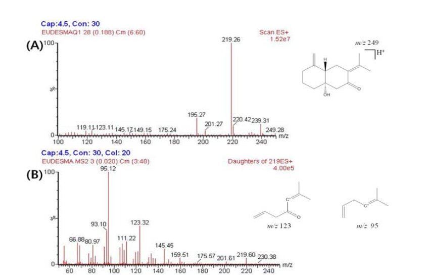 (A) Precursor and (B) product ion spectra of eudesma-4(14),7(11)-dien-8-one