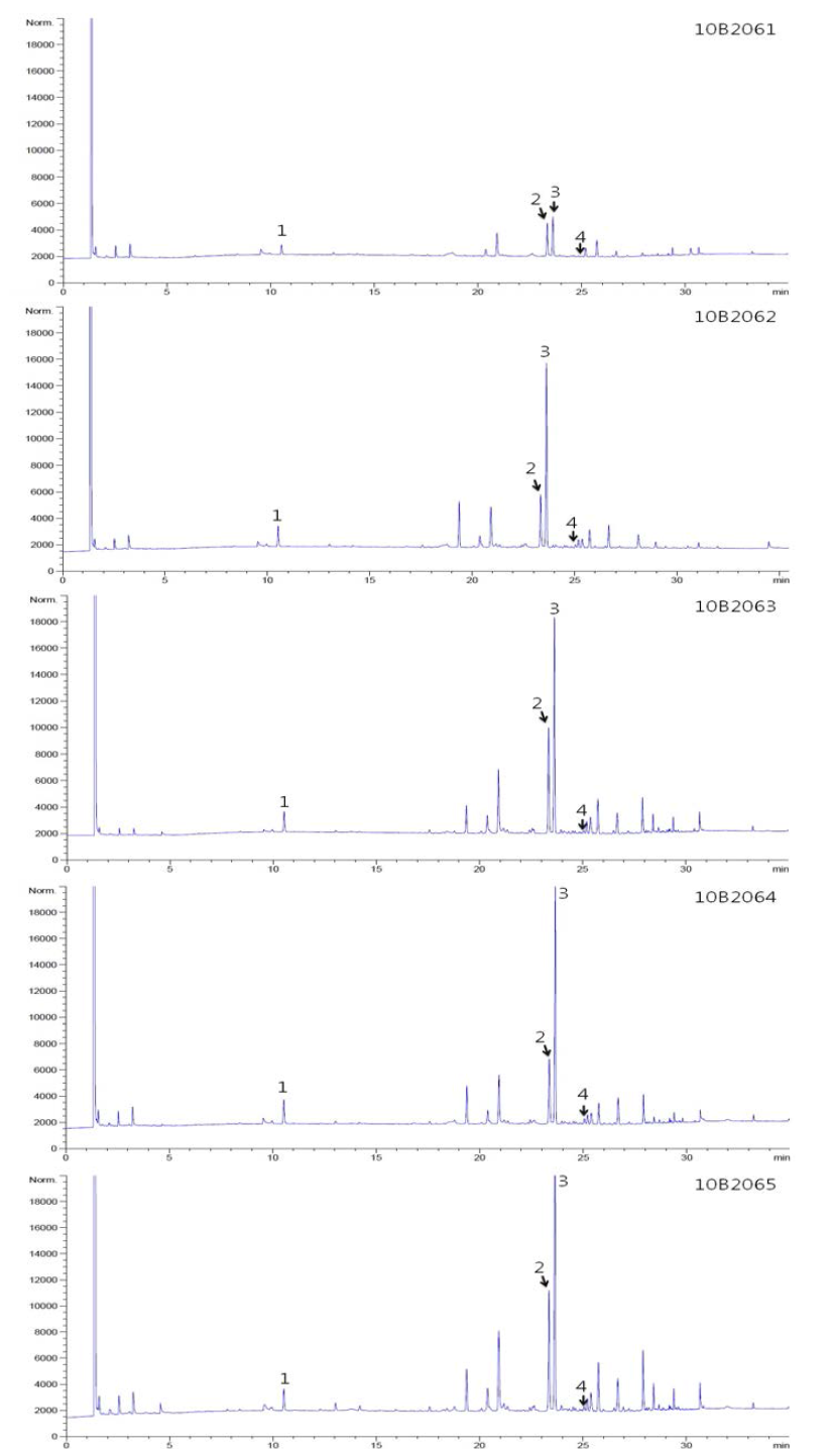 GC-FID chromatograms of Acori Calami Rhizoma