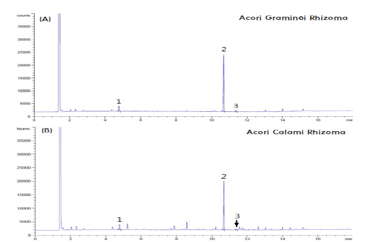 Representative GC-FID chromatograms of (A) Acori Graminei Rhizoma and (B) Acori Calami Rhizoma