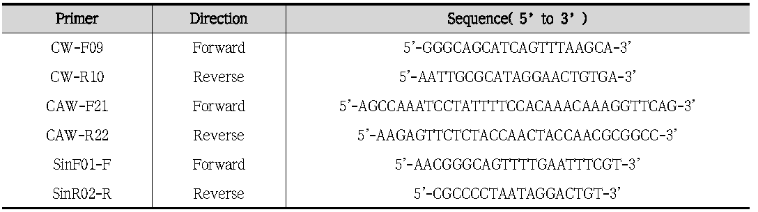 Designed sequence primer used in this study