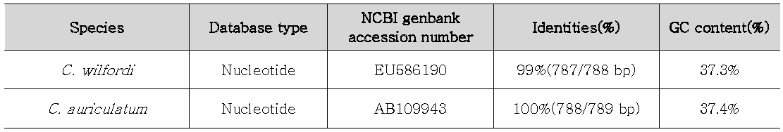 Identities(%) and GC content(%) of the trnL-F region sequence of Cynanchum wilfordi and Cynanc.hum auriculatum using NCBI blast