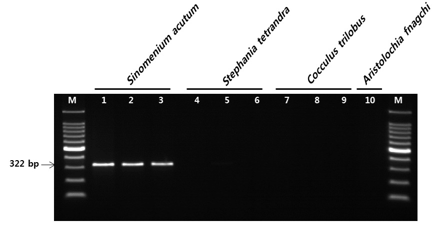 PCR profile of the primer pair designed from Sinomenium acutum