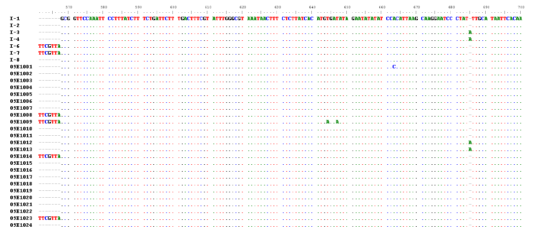 Comparison of the nucleotide sequences of trnL-F region of L. japonicus.