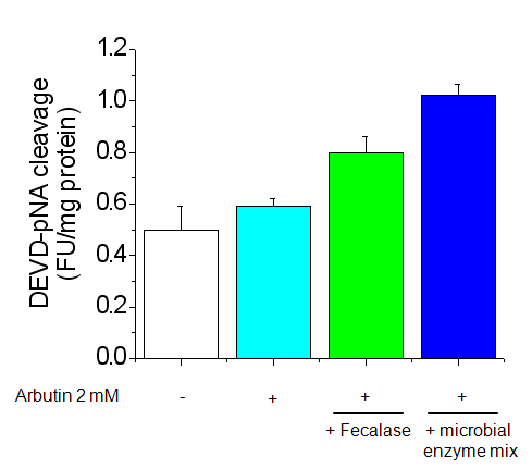 Effect of arbutin metabolism on catalytic activity of caspase-3. The catalytic activities of caspase-3 in cell lysates were assayed using the specific substrate DEVD-pNA