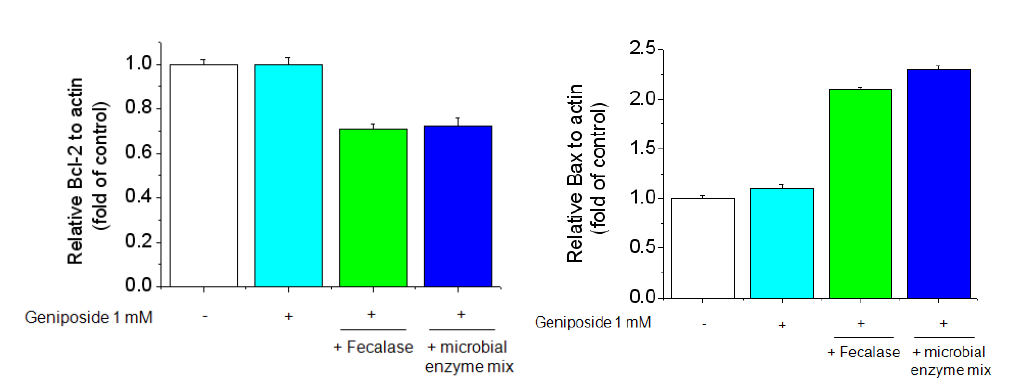 Effect of geniposide plus fecalase and microbial enzyme mix on Bcl-2 and Bax expression. Total RNAs were isolated from geniposide and its metabolites treated cells and the expression of Bcl-2 and Bax were measured by real time-PCR.