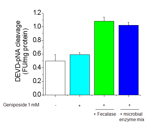 Effect of geniposide metabolism on catalytic activity of caspase-3. The catalytic activities of caspase-3 in cell lysates were assayed using the specific substrate DEVD-pNA