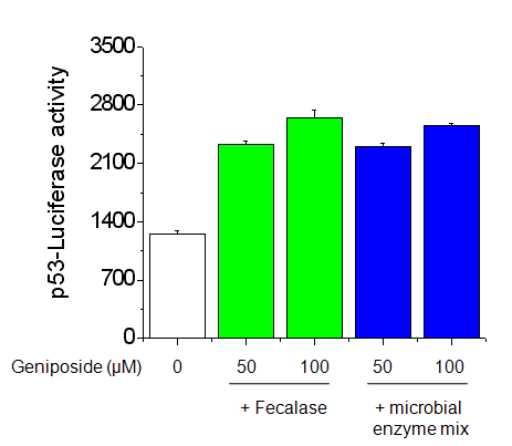 Effects of geniposide plus fecalase and and microbial enzyme mix on p53 luciferase activity. Cells were transiently co-transfected with pCMV-β-gal, p53 luciferase reporter gene. After 4 h, cells were treated with the indicated concentrations of geniposide and its metabolite for 24 h.