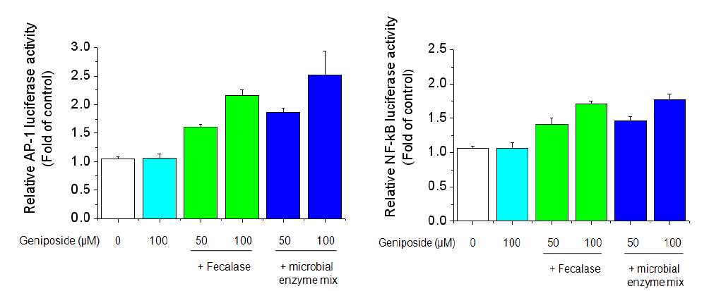 Effects of geniposide plus fecalase and and microbial enzyme mix on AP-1 and NF-kB luciferase activity in Raw 264.7 cells. Cells were transiently co-transfected with pCMV-β -gal, AP-1 and NF-kB luciferase reporter gene. After 4 h, cells were treated with the indicated concentrations of geniposide and its metabolite for 24 h.