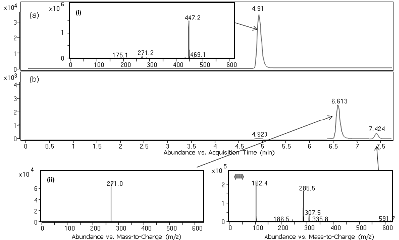 Metabolism of baicalin by human fecal microflora. Identification of baicalin isolated (a) and baicalin metabolites with LC-MS/MS; (i) baicalin, (ii) baicalein, and (iii) oroxylin A.