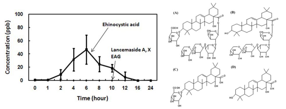 Mean plasma concentration–time profile of lancemaside A and its metabolites in mice after oral administration of lancemaside A (60 mg/kg). Lancemaside A, lancemaside X and EAG were not detected, but echinocystic acid (closed square) was detected. (each point represents mean±S.D., n = 4). Structures of lancemaside A (A) and its metabolites, lancemaside X (B), echinocystic acid 3-O-β -D-glucuronopyranoside (EAG, C) and echinocystic acid (D).