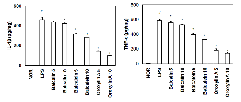 Effect of baicalin and its metabolites baicalein and oroxylin A on LPS-stimulated systemic inflammation in mice.