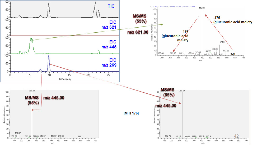 MS/MS chromatograms and MS/MS spectra of baicalin and its metabolites in rat serum after oral administration with 100 mg/kg baicalin.