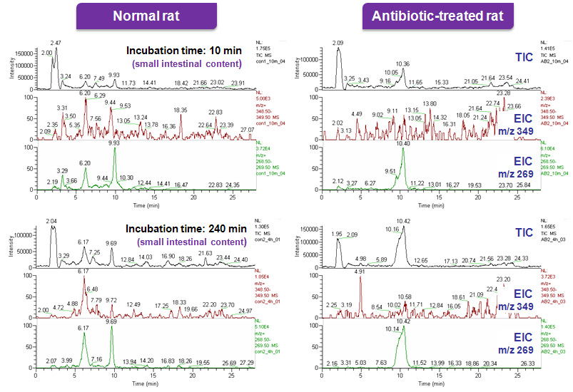 MS/MS chromatograms of metabolite M4 obtained with in vitro metabolism of baicalin (50 μM) by intestinal content microflora.