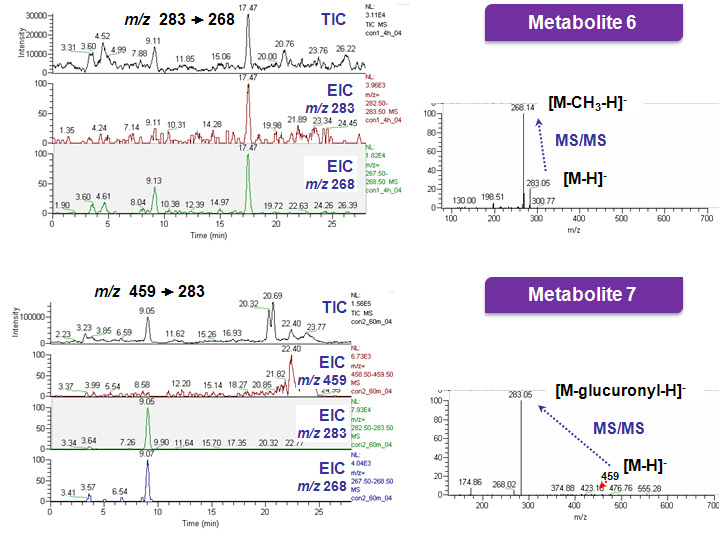 MS/MS chromatograms and spectra of metabolite M6 and M7 obtained with in vitro metabolism of baicalin (50 μM) by intestinal content microflora