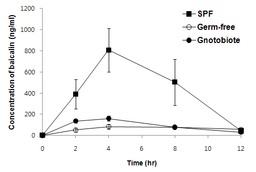 Mean serum concentration-time curves after oral administration of baicalin (100 mg/kg) in germ-free, gnotobiote and SPF mice (1차 동물실험 결과).