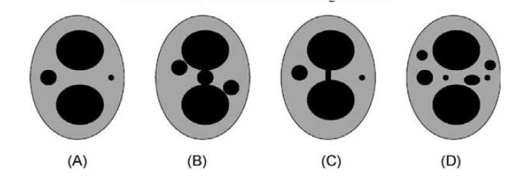 Micronuclei that meet the scoring criteria