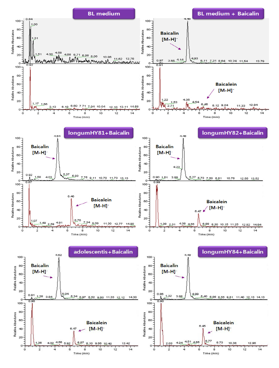 LC-MS chromatograms of baicalin and baicalein in BL medium. B. longum and Bif. adolescentis were cultured in the presence of baicalin for 20 h.