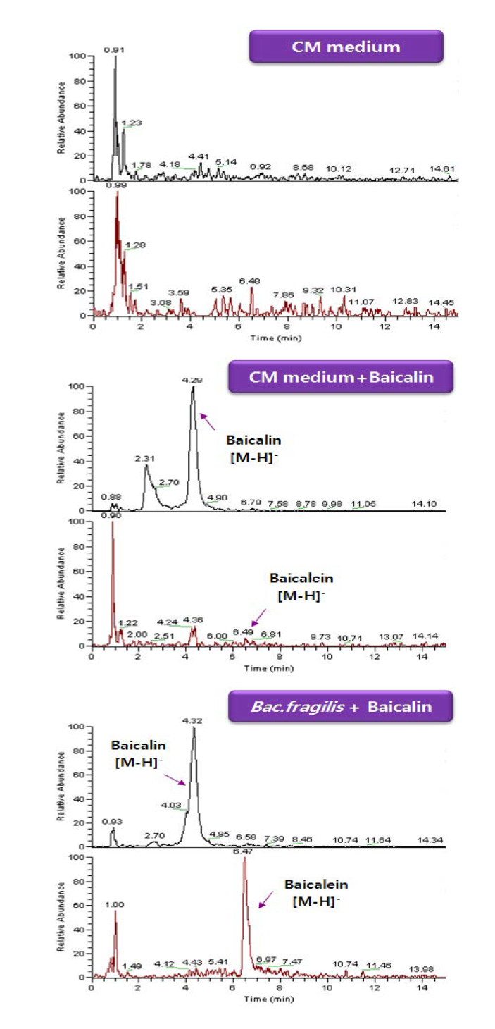 LC-MS chromatograms of baicalin and baicalein in CM medium. B. fragilis were cultured in the presence of baicalin for 20 h.