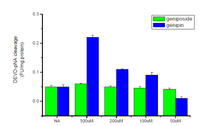 Activation of caspase-3 by geniposide and genipin in HepG2 cells. Cells were pretreated with z-DEVD-fmk for 1 hr, and then exposed to geniposide and genipin for additional 24 h. The catalytic activities of caspase-3 in cell lysates were assayed using the specific substrate DEVD-pNA