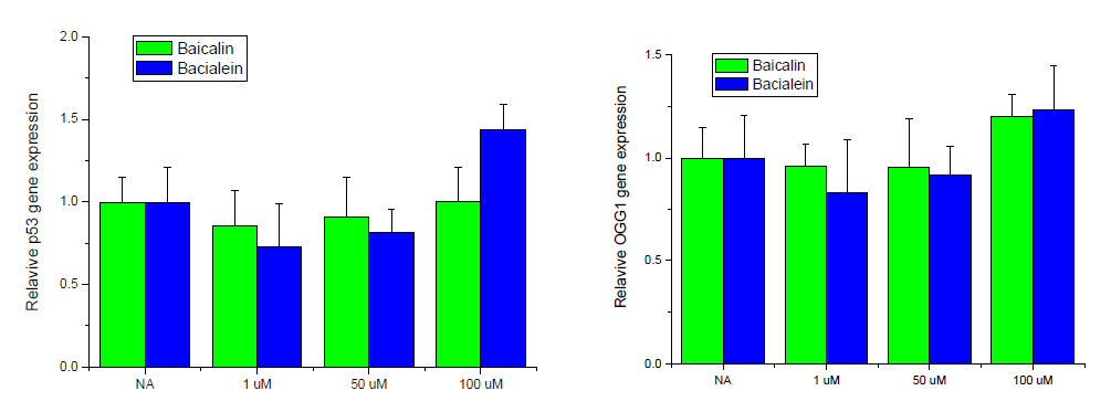 Effect of baicalin and bacialein on the expression of p53 and OGG1. The cells were lysed and the total RNA was analyzed by RT-PCR in HepG2 cells. After 24 hr of incubation, the total RNA was prepared and real-time PCR was performed. GAPDH was used as a loading control.