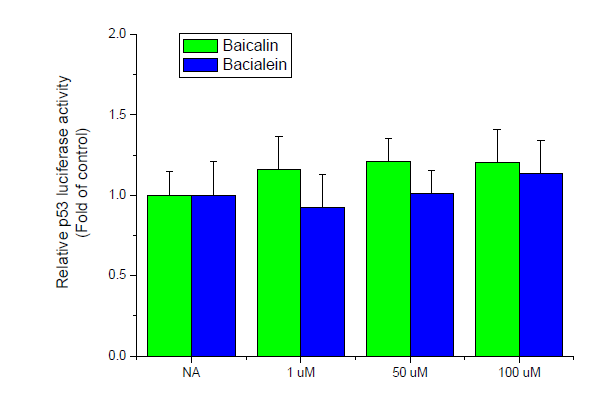 Effects of baicalin and bacialein on p53 luciferase activity in HepG2 cells. Cells were transiently co-transfected with pCMV-β-gal, p53 regulated luciferase reporter gene. After 4 h, cells were treated with the indicated concentrations of baicalin and bacialein for 24 h.