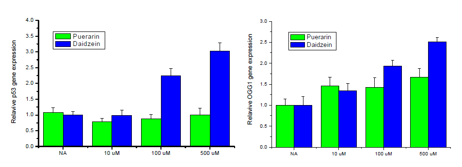 Effect of puerarin and daidzein on the expression of p53 and OGG1. The cells were lysed and the total RNA was analyzed by RT-PCR in HepG2 cells. After 24 hr of incubation, the total RNA was prepared and real-time PCR was performed. GAPDH was used as a loading control