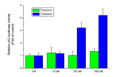 Effects of puerarin and daidzein on p53 luciferase activity in HepG2 cells. Cells were transiently co-transfected with pCMV-β-gal, p53 regulated luciferase reporter gene. After 4 h, cells were treated with the indicated concentrations of puerarin and daidzein for 24 h.