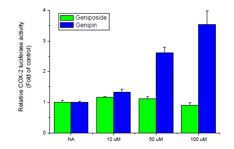 Effects of geniposide and genipin on COX-2 luciferase activity in Raw 264.7 cells. Cells were transiently co-transfected with pCMV-β-gal, COX-2 luciferase reporter gene. After 4 h, cells were treated with the indicated concentrations of geniposide and genipin for 24 h