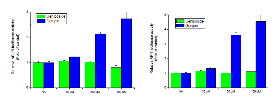 Effects of geniposide and genipin on NF-kB and AP-1 luciferase activity in Raw 264.7 cells. Cells were transiently co-transfected with pCMV-β-gal, NF-kB and AP-1 luciferase reporter gene. After 4 h, cells were treated with the indicated concentrations of geniposide and genipin for 24 h.