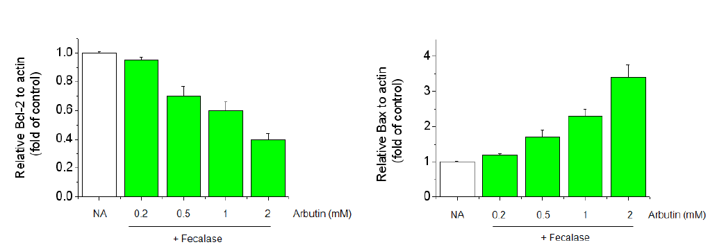 Effect of arbutin plus fecalase on Bcl-2 and Bax expression. Total RNAs were isolated from arbutin plus fecalase treated cells and the expression of Bcl-2 and Bax were measured by real time-PCR