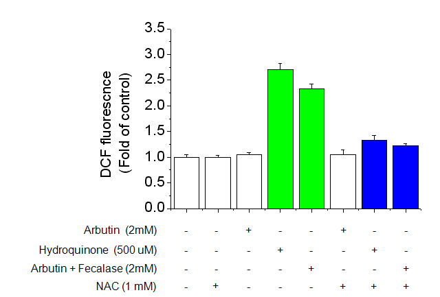 Effect of arbutin metabolism by fecalase intracellular ROS formation. Cells were seeded in 48-well plates, cultured for 24 h, and then treated with arbutin, HQ or pre-activated arbutin by intestinal microflora for 20 h. Following the incubation, cells were treated with H2DCFDA for 30 min.