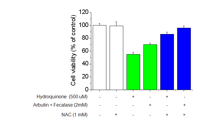 Effect of arbutin metabolism by fecalase on Cytotoxicity. To examine the protective effect of NAC on HQ or pre-activated-induced toxicity, cells werepretreated with 1 mM NAC 1 h prior to HQ and pre-activated arbutin treatment