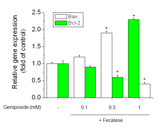 Effect of geniposide plus fecalase on Bcl-2 and Bax expression. Total RNAs were isolated from geniposide plus fecalase treated cells and the expression of Bcl-2 and Bax were measured by Real Time-PCR.