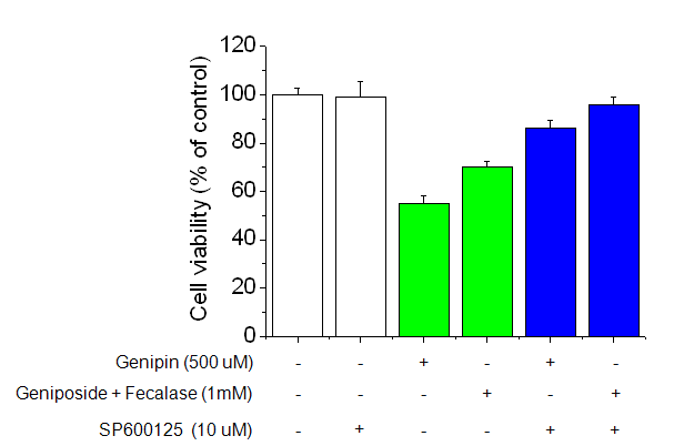 Effect of geniposide metabolism by fecalase on Cytotoxicity. To examine the protective effect of SP600125 on genipin or pre-activated-induced toxicity, cells were pretreated with 1 mM SP600125 1 h prior to genipin and pre-activated geniposide treatment.