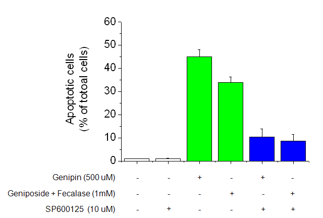 Effects of activated geniposide on the JNK pathway. TUNEL assays were performed according to the manufacturer’s instructions. Apoptotic cells were visualized under a fluorescent microscope.