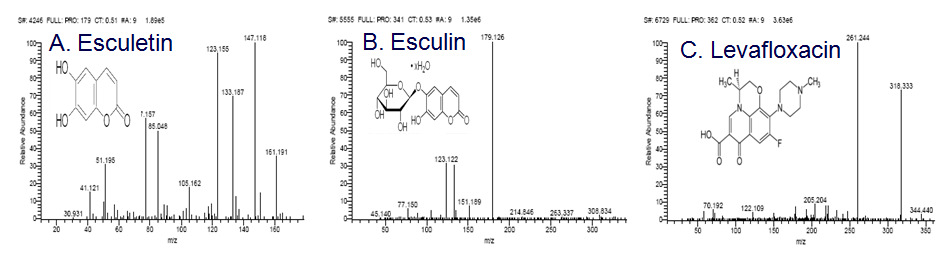 MS spectrum of esculetin, esculin and levafloxacin