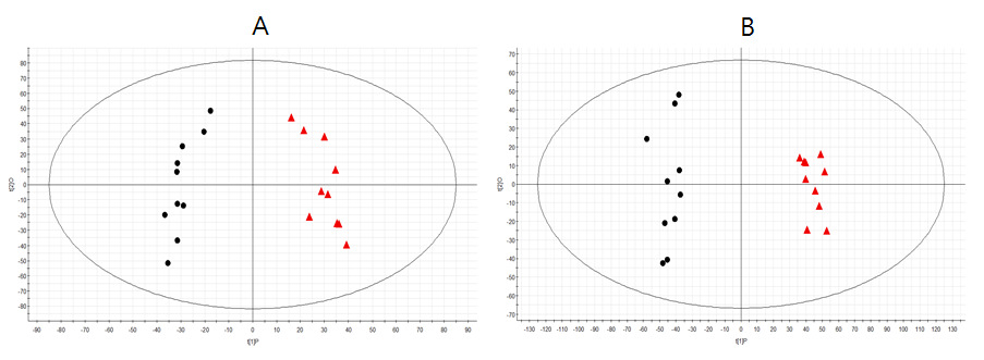 시료들의 피크 변동값에 대해서 OPLS-DA를 실시하여 작성한 score plot. A은 positive ionization의 결과이며, b은 negative ionization의 결과이다. 빨간색 삼각형은 pseudo germ-free 군 을 검정색 원은 대조군을 나타낸다